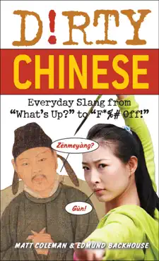 dirty chinese book cover image