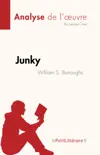 Junky de William S. Burroughs (Analyse de l'œuvre) sinopsis y comentarios