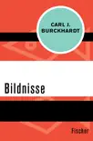 Bildnisse synopsis, comments