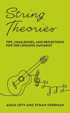 string theories book cover image