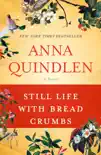 Still Life with Bread Crumbs synopsis, comments