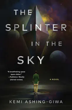 the splinter in the sky book cover image