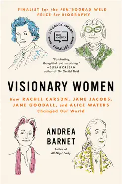 visionary women book cover image