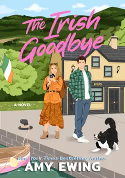 the irish goodbye book cover image
