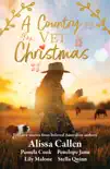 A Country Vet Christmas synopsis, comments