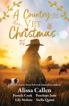 a country vet christmas book cover image
