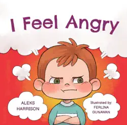 i feel angry book cover image