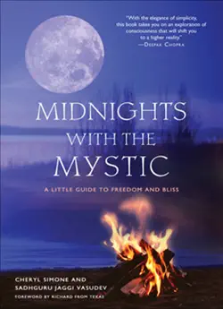 midnights with the mystic book cover image