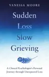 Sudden Loss, Slow Grieving synopsis, comments