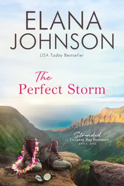 the perfect storm book cover image