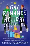 Gay Romance Holiday Collection synopsis, comments