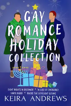 gay romance holiday collection book cover image