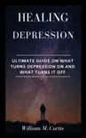 Healing Depression synopsis, comments