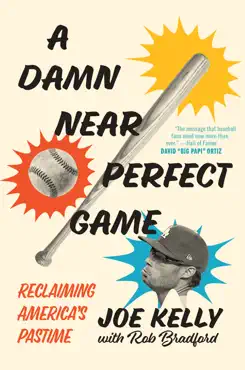 a damn near perfect game book cover image