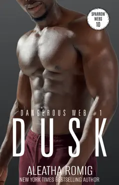 dusk book cover image