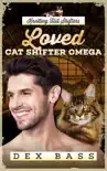 Loved Cat Shifter Omega synopsis, comments