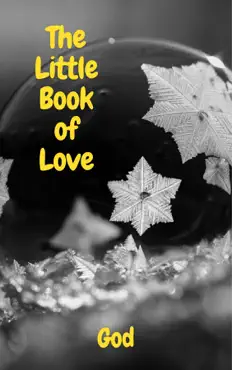 the little book of love book cover image