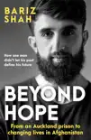 Beyond Hope synopsis, comments
