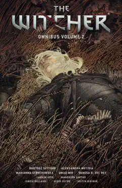 the witcher omnibus volume 2 book cover image