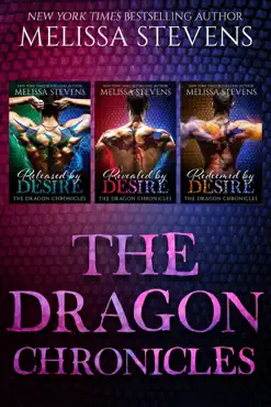 the dragon chronicles book cover image