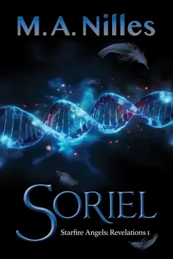 soriel book cover image