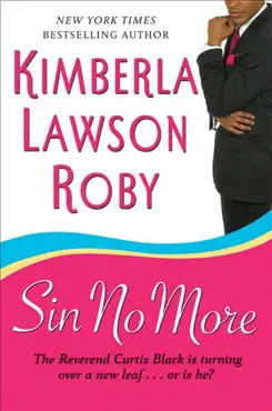 sin no more book cover image