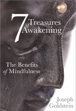 7 treasures of awakening book cover image