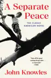 A Separate Peace synopsis, comments