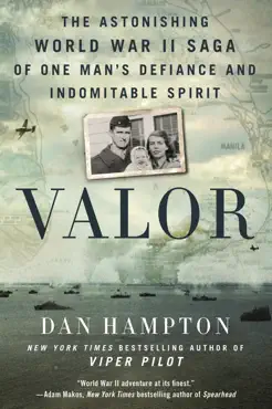 valor book cover image