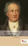 Johann Wolfgang von Goethe sinopsis y comentarios