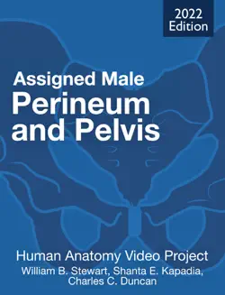 perineum and pelvis: assigned male book cover image
