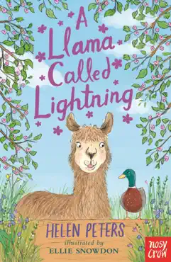 a llama called lightning book cover image