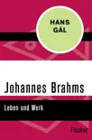 Johannes Brahms synopsis, comments