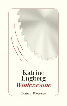 wintersonne book cover image