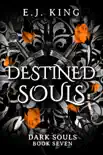 Destined Souls synopsis, comments