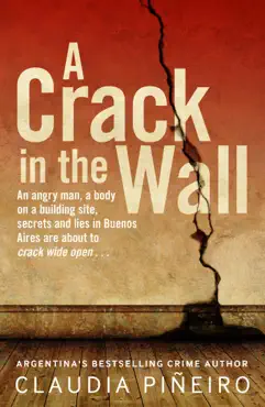 a crack in the wall imagen de la portada del libro