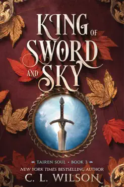 king of sword and sky book cover image