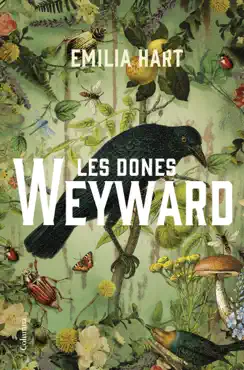 les dones weyward book cover image