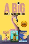 A Big Mystery Collection synopsis, comments