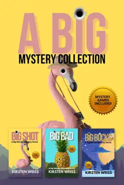 a big mystery collection book cover image