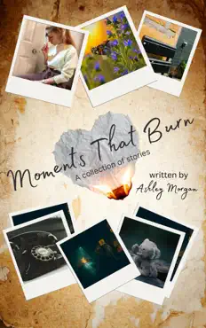 moments that burn book cover image