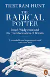 The Radical Potter sinopsis y comentarios