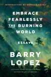Embrace Fearlessly the Burning World synopsis, comments