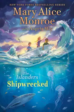 shipwrecked book cover image