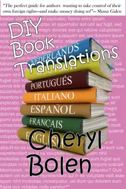 diy book translations book cover image