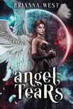Angel Tears synopsis, comments