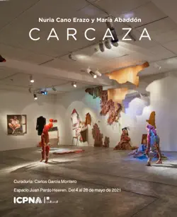 carcaza book cover image