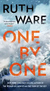one by one book cover image