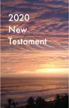 2020 New Testament synopsis, comments