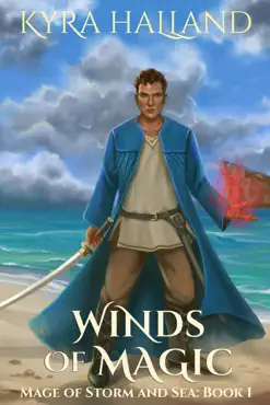winds of magic book cover image
